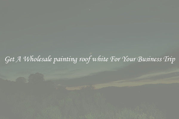 Get A Wholesale painting roof white For Your Business Trip