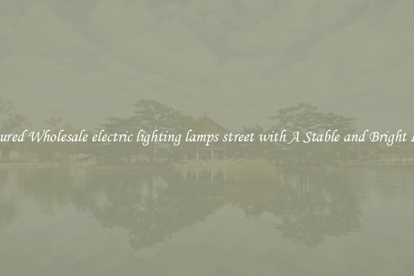 Featured Wholesale electric lighting lamps street with A Stable and Bright Light