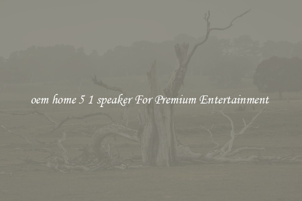 oem home 5 1 speaker For Premium Entertainment 