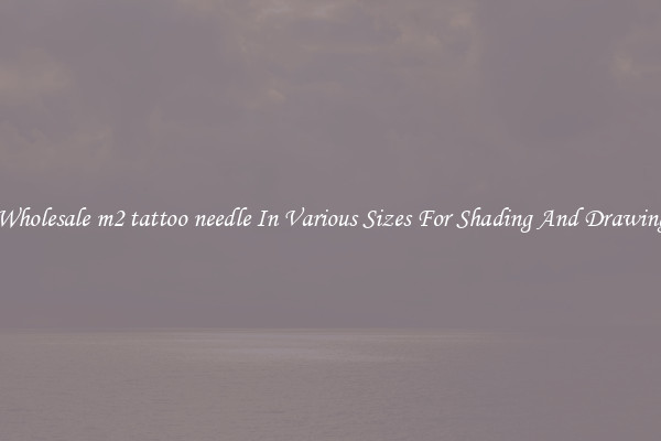 Wholesale m2 tattoo needle In Various Sizes For Shading And Drawing