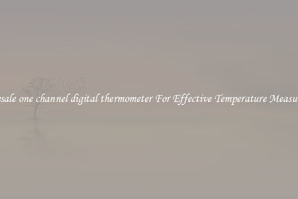Wholesale one channel digital thermometer For Effective Temperature Measurement