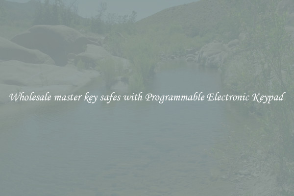 Wholesale master key safes with Programmable Electronic Keypad 