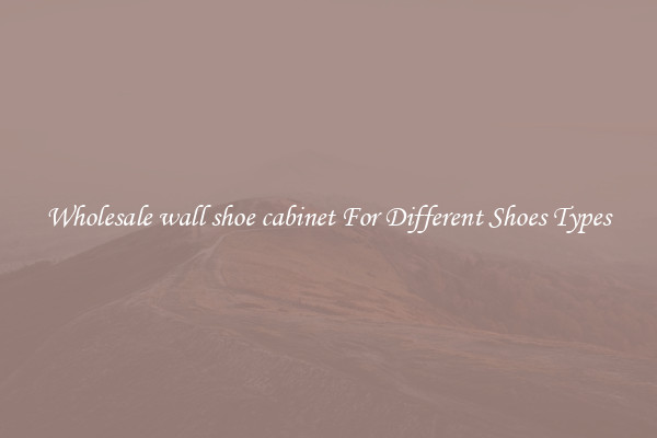 Wholesale wall shoe cabinet For Different Shoes Types