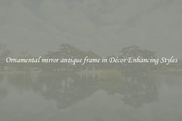 Ornamental mirror antique frame in Décor Enhancing Styles