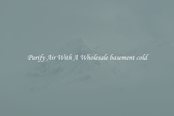 Purify Air With A Wholesale basement cold