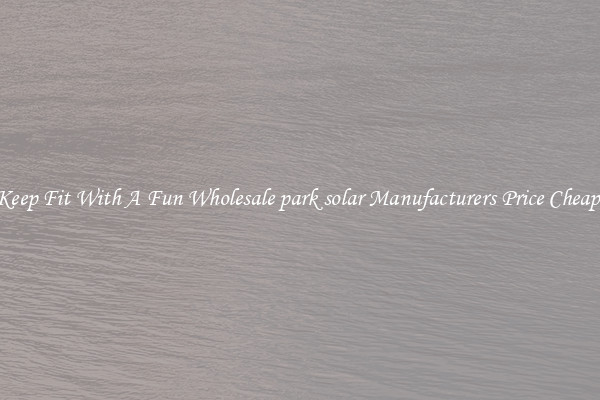 Keep Fit With A Fun Wholesale park solar Manufacturers Price Cheap 