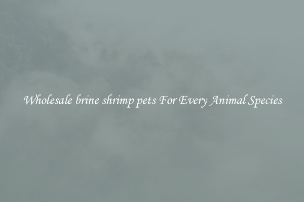 Wholesale brine shrimp pets For Every Animal Species