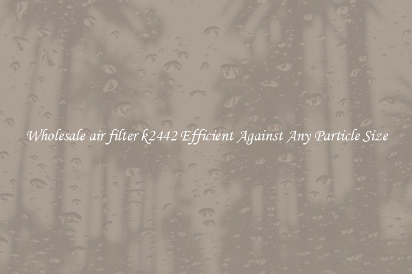 Wholesale air filter k2442 Efficient Against Any Particle Size