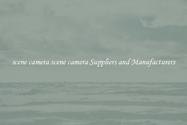 scene camera scene camera Suppliers and Manufacturers
