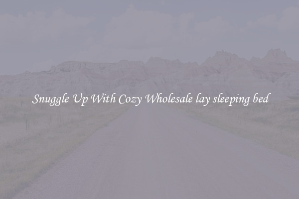 Snuggle Up With Cozy Wholesale lay sleeping bed