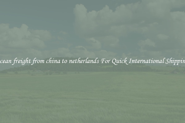 ocean freight from china to netherlands For Quick International Shipping