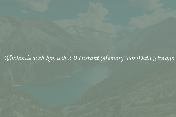 Wholesale web key usb 2.0 Instant Memory For Data Storage