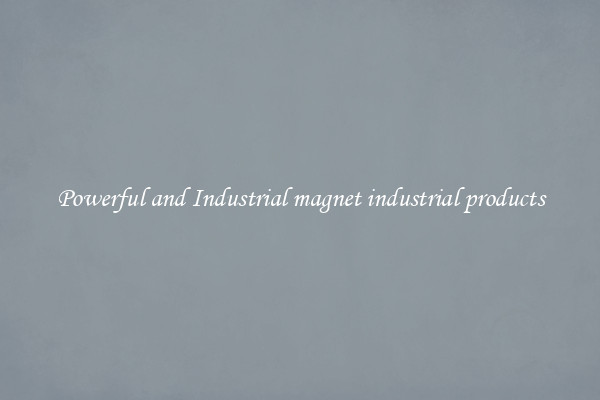 Powerful and Industrial magnet industrial products