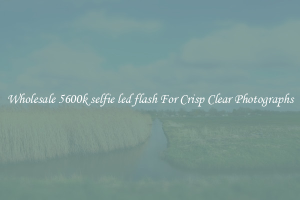 Wholesale 5600k selfie led flash For Crisp Clear Photographs