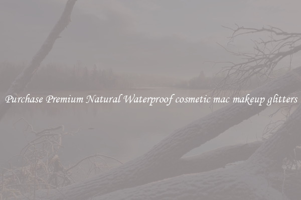Purchase Premium Natural Waterproof cosmetic mac makeup glitters