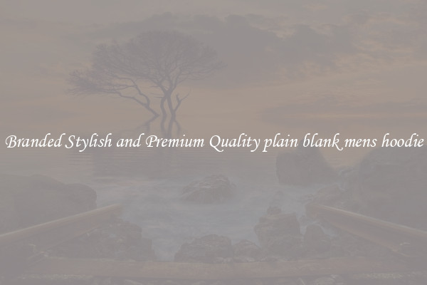 Branded Stylish and Premium Quality plain blank mens hoodie